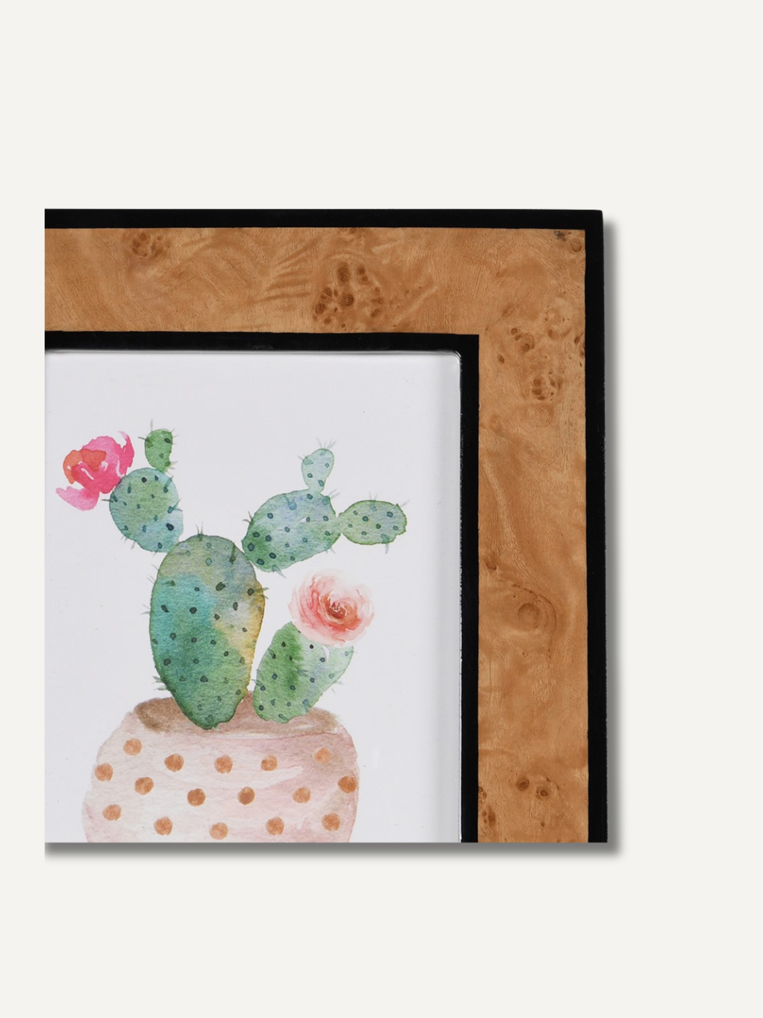 Up close burl wood photo frame of a cactus with pink flowers on a white background