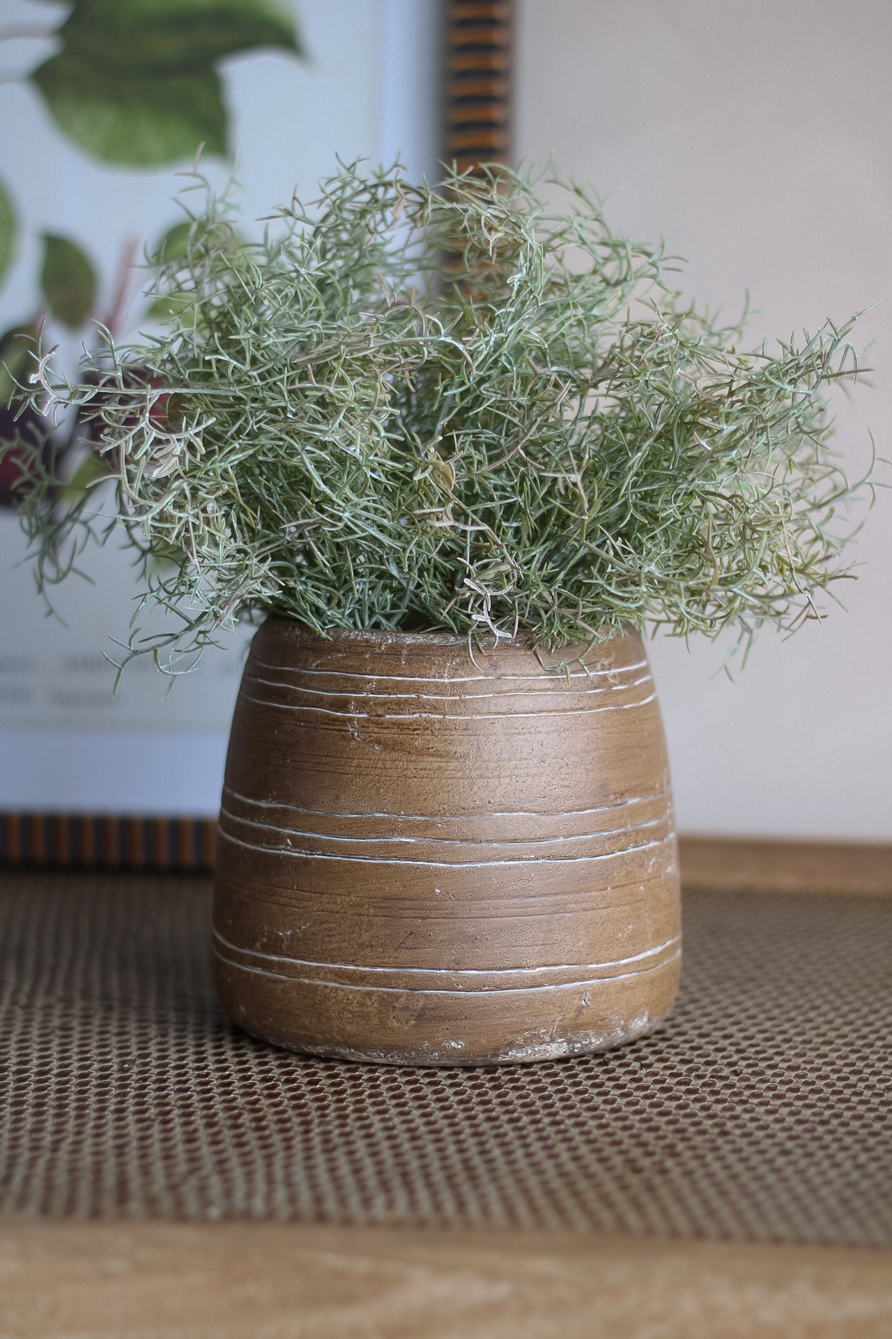 Potted plant in a textured brown pot on a woven surface
