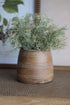 Potted plant in a textured brown pot on a woven surface
