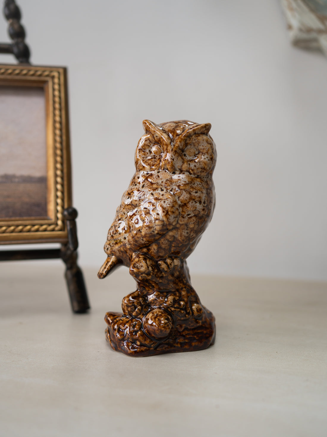 Ceramic Perched Wise Owl Decoration