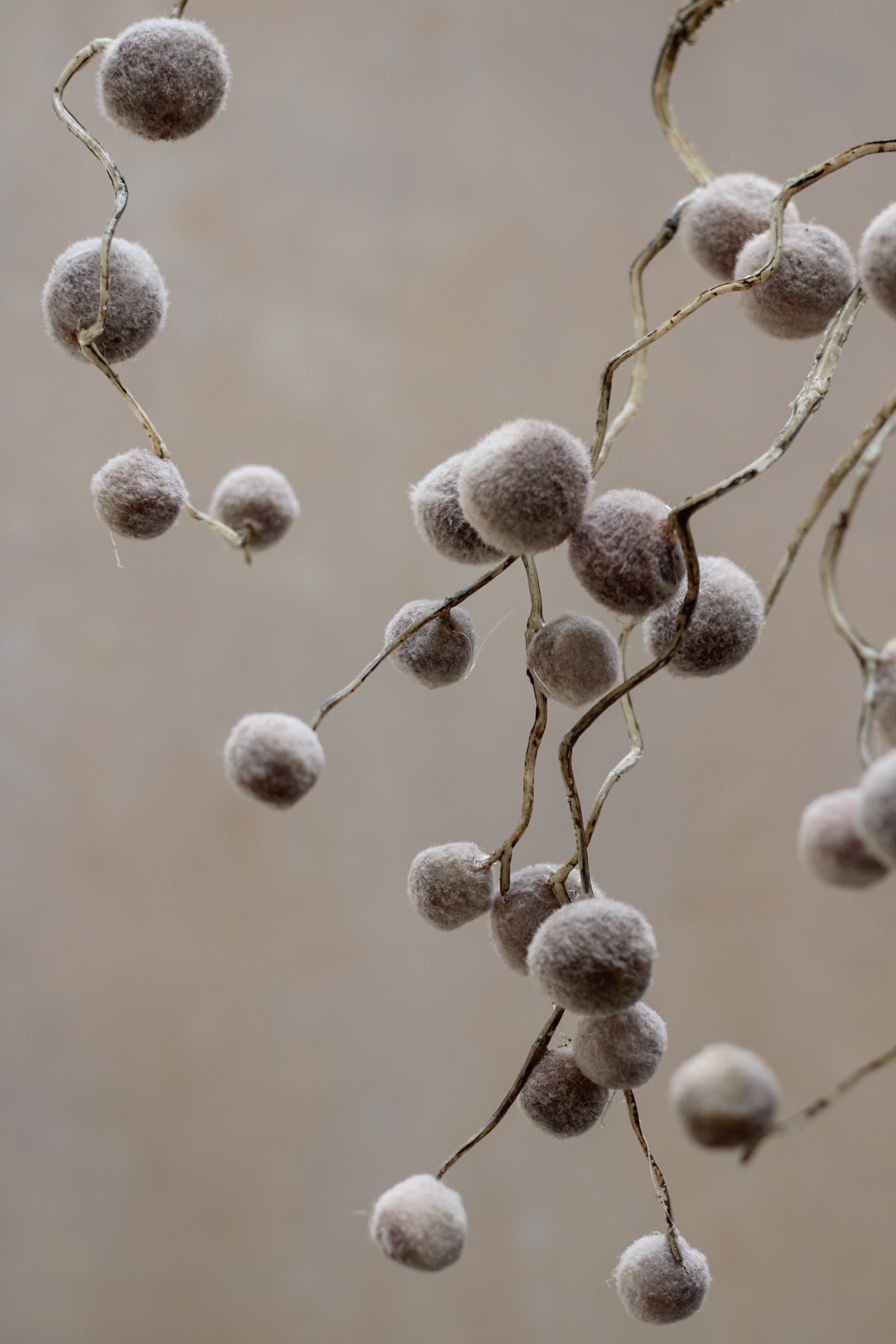 Faux Soft Brown Pom Pom Willow Spray