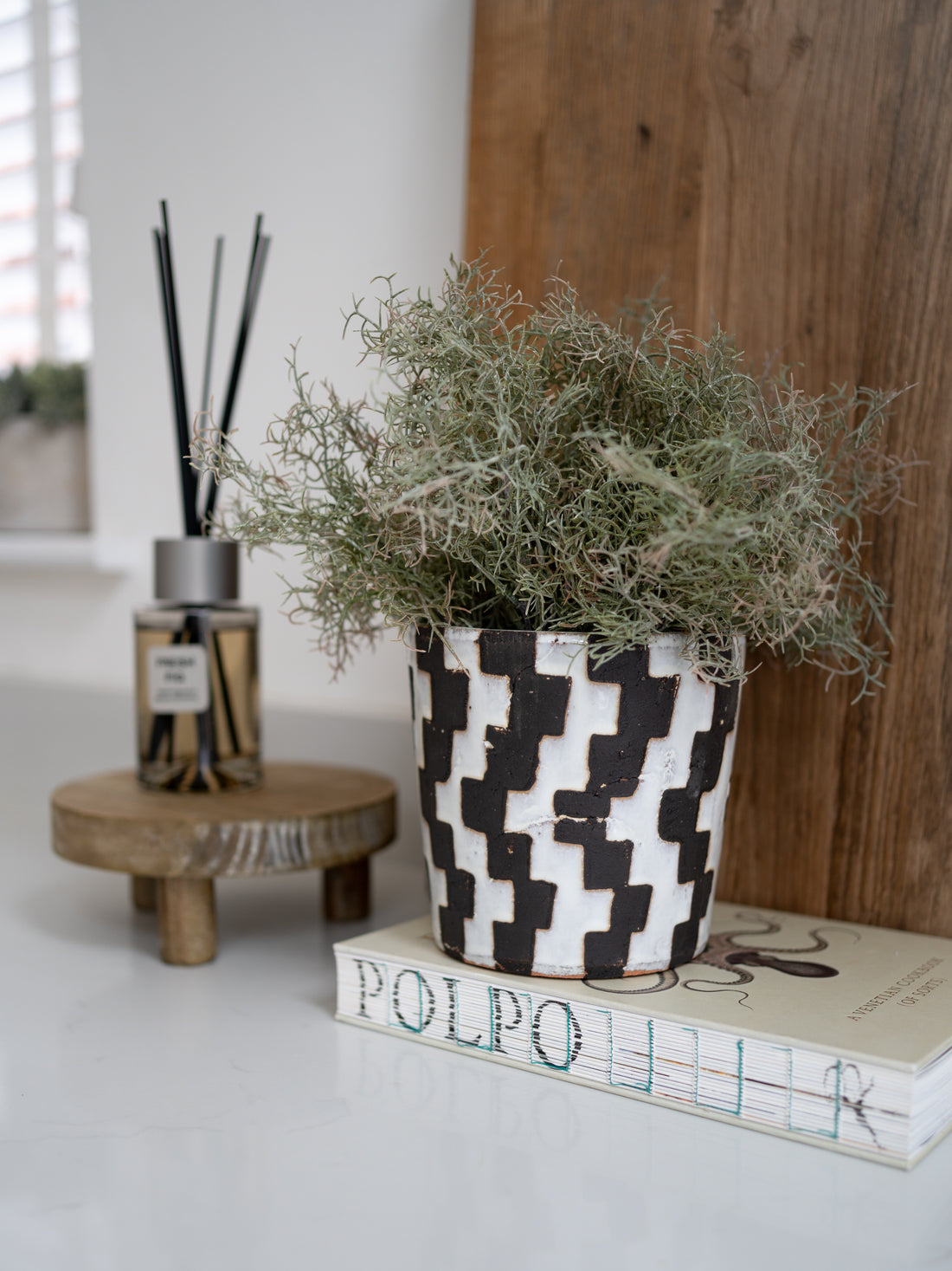 Potted plant on books with a diffuser and wooden surface in the background