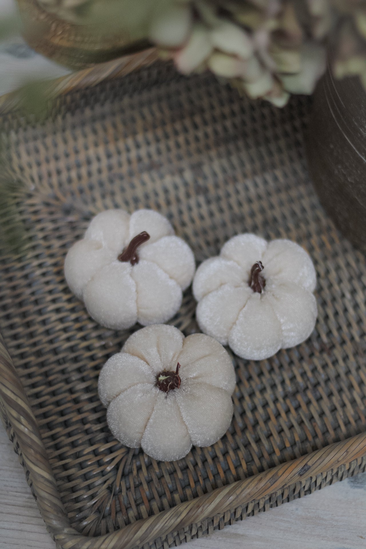 White Velvet Pumpkins | Set of 3
