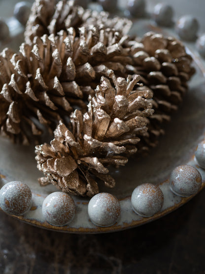 Bag of Golden Champagne Pinecones