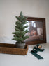 Faux Potted Nordic Spruce