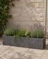 Charcoal rectangular stone planters with lavender and other plants against a stone wall.