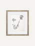 Framed botanical art print featuring a black and white sketch of three flowers, set in a light natural wood frame with a white mat, against a solid off-white background.