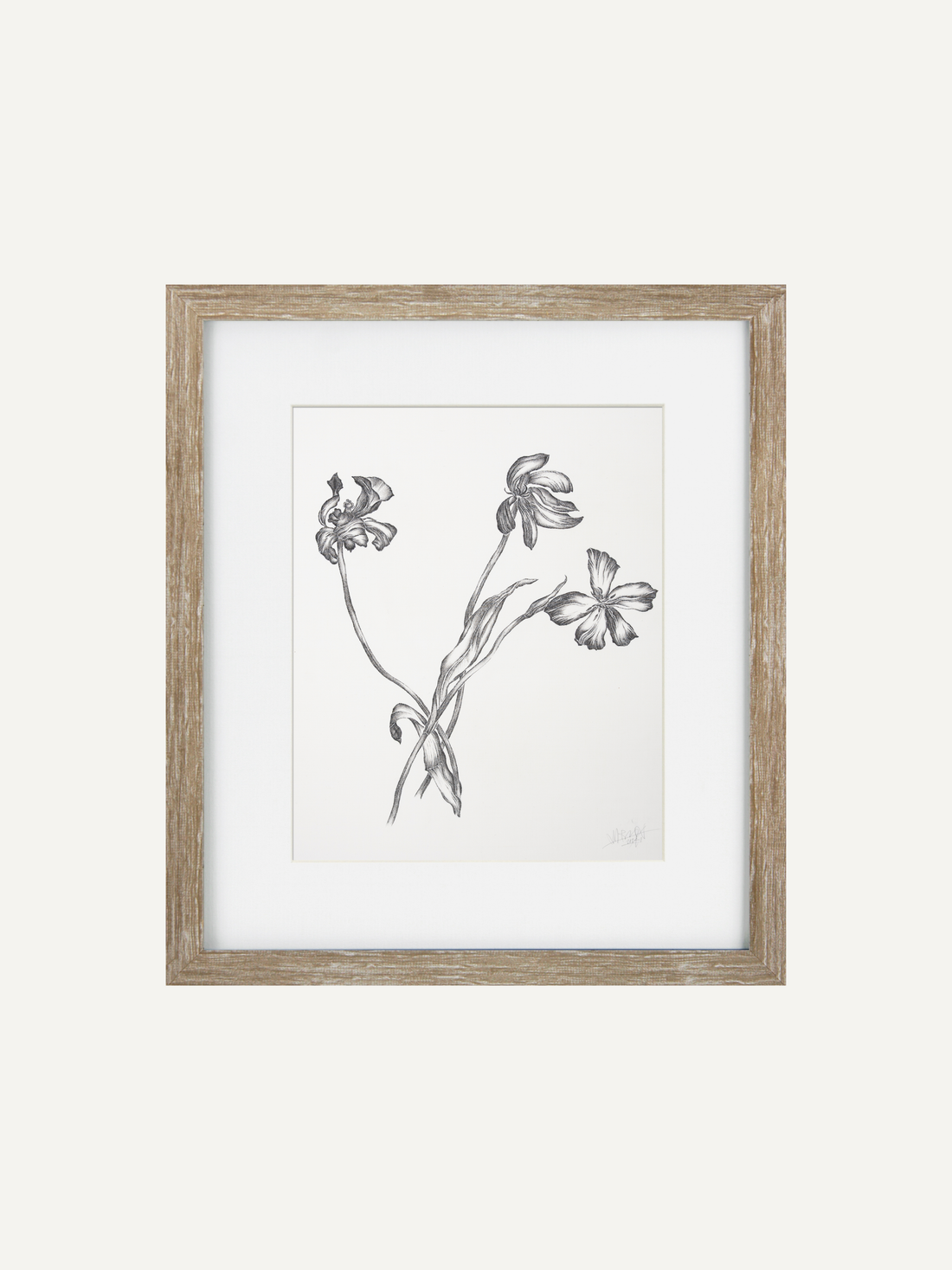 A framed botanical art print featuring a black and white sketch of three wildflowers on a white background, enclosed in a light brown wood frame with a white mat.
