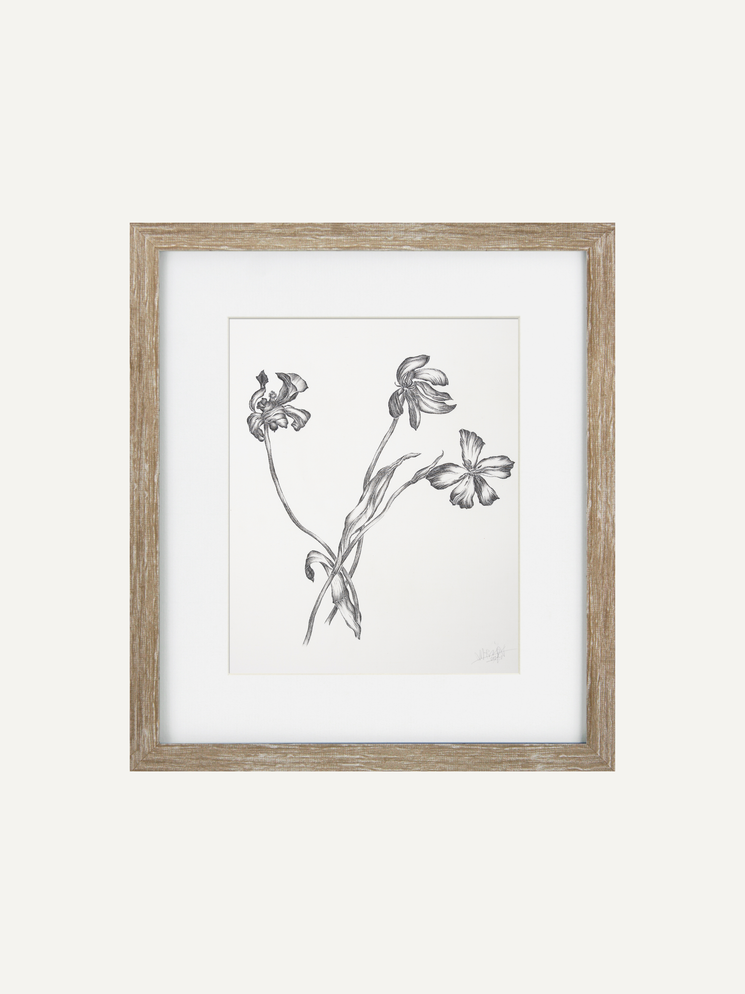 A framed botanical art print featuring a black and white sketch of three wildflowers on a white background, enclosed in a light brown wood frame with a white mat.