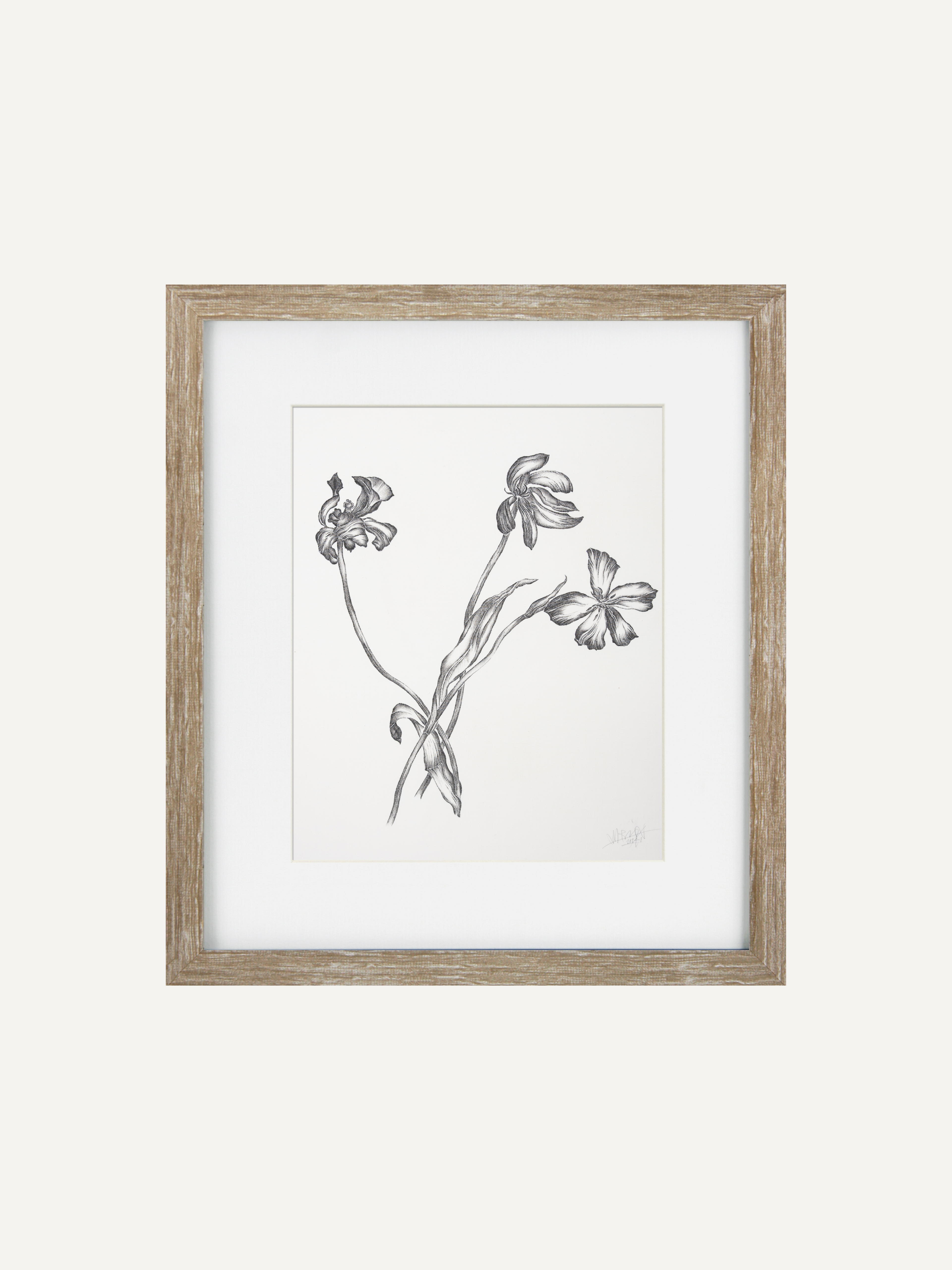 A framed botanical art print featuring a black and white sketch of three wildflowers on a white background, enclosed in a light brown wood frame with a white mat.