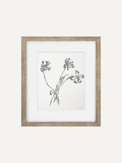 A framed botanical art print featuring a black and white sketch of three wildflowers on a white background, enclosed in a light brown wood frame with a white mat.