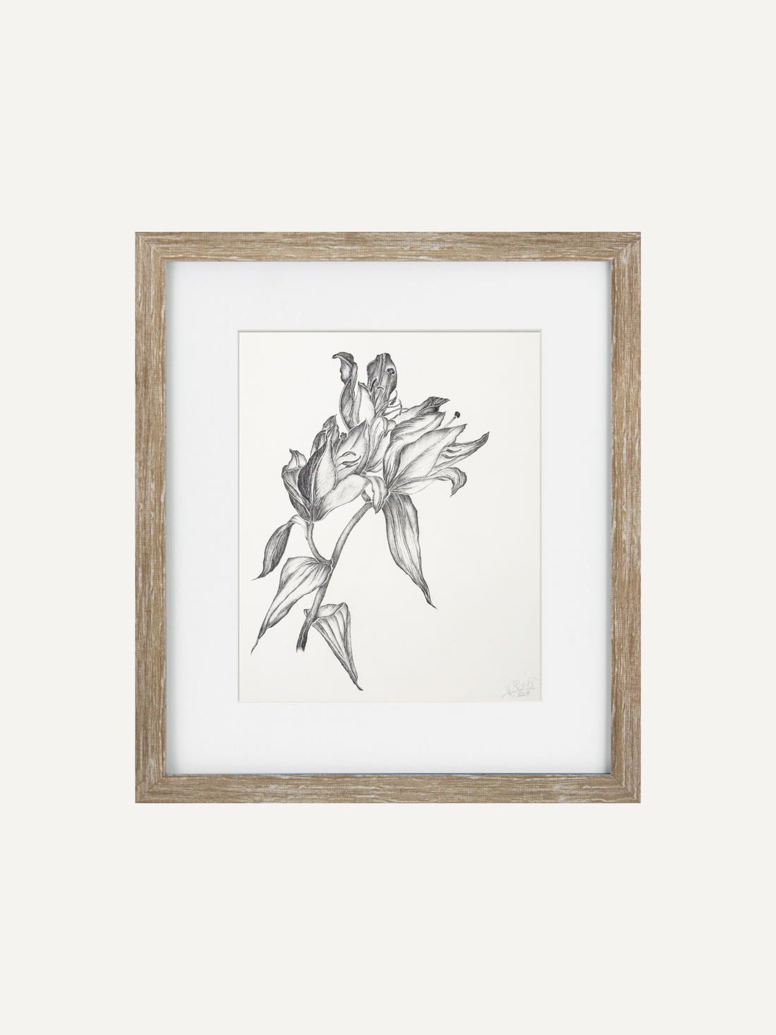 A framed botanical art print featuring a detailed pencil sketch of lilies, presented in a light natural wood frame with a white mat against a clean off-white background.