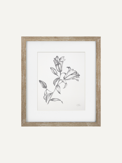 Framed botanical art print featuring a detailed pencil sketch of lily of the valley flowers, set in a white mat and a rustic light brown wooden frame against a solid off-white background.