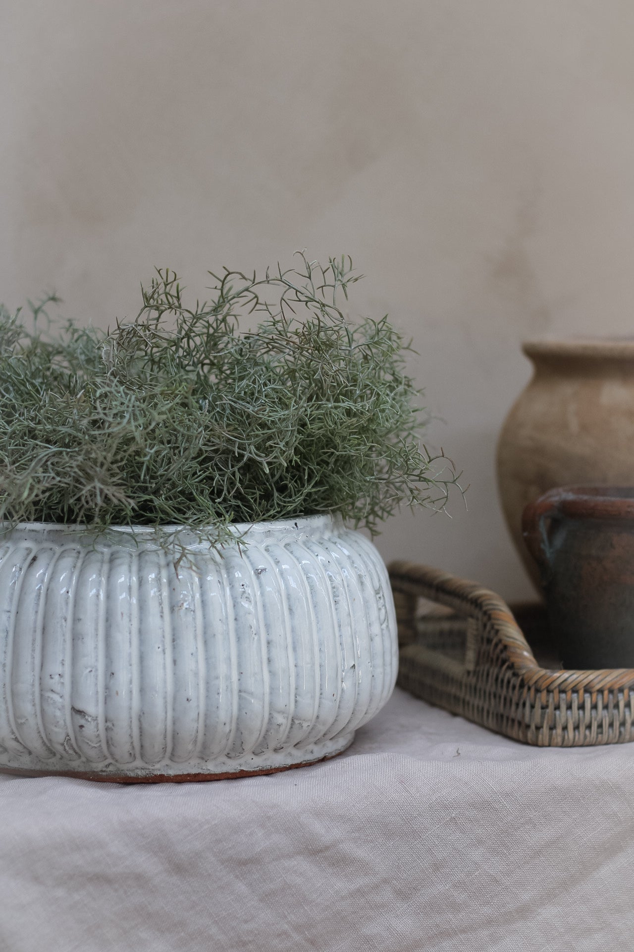 Distressed Cream Ribbed Planter - Ivy Grey Interiors