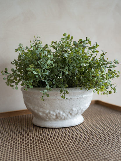 A potted green leafy plant in a textured off-white ceramic bowl, placed on a woven brown mat against a neutral beige wall.