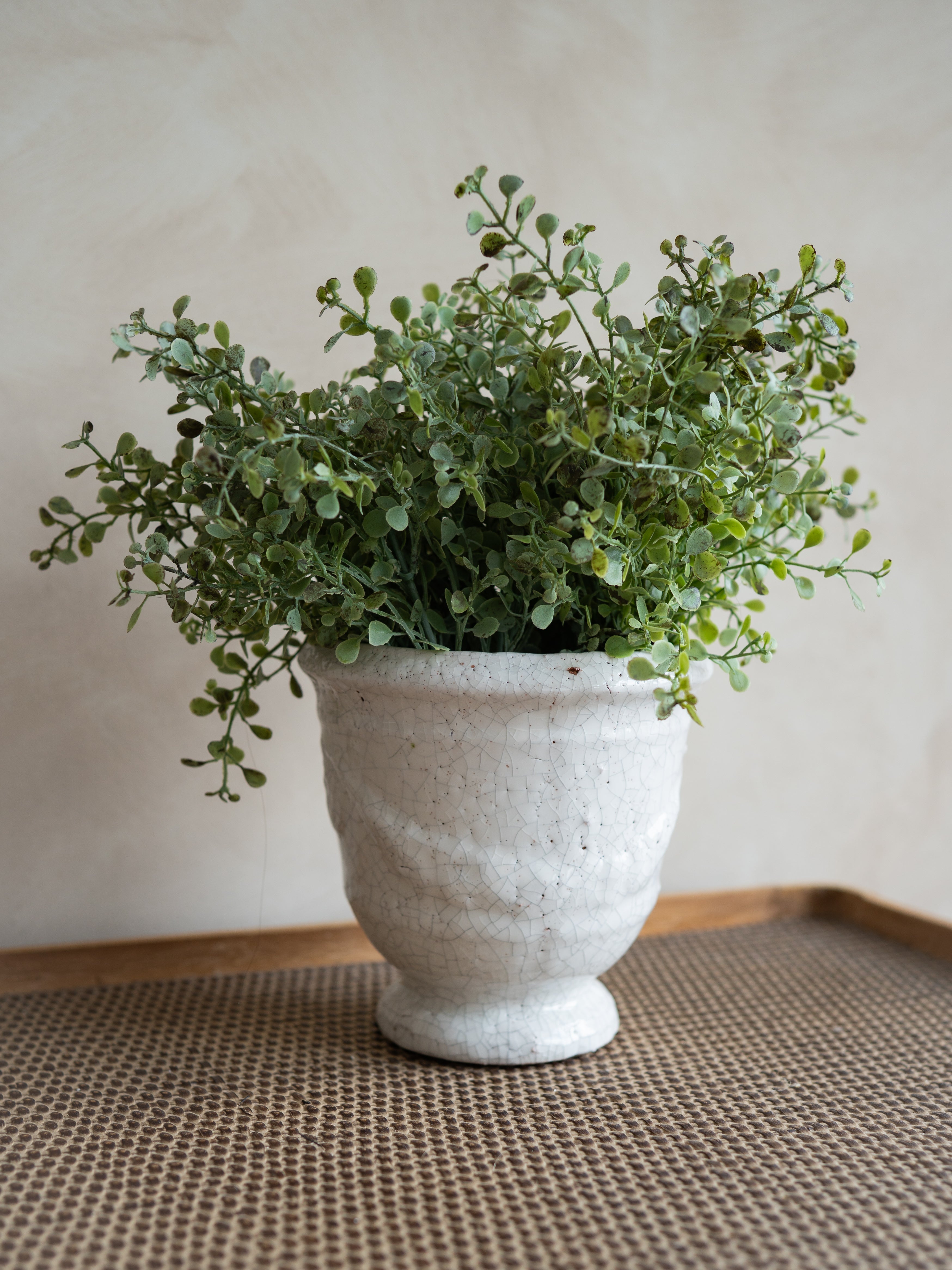 A potted green leafy plant in a textured off-white ceramic pot, placed on a woven brown mat against a neutral beige wall.