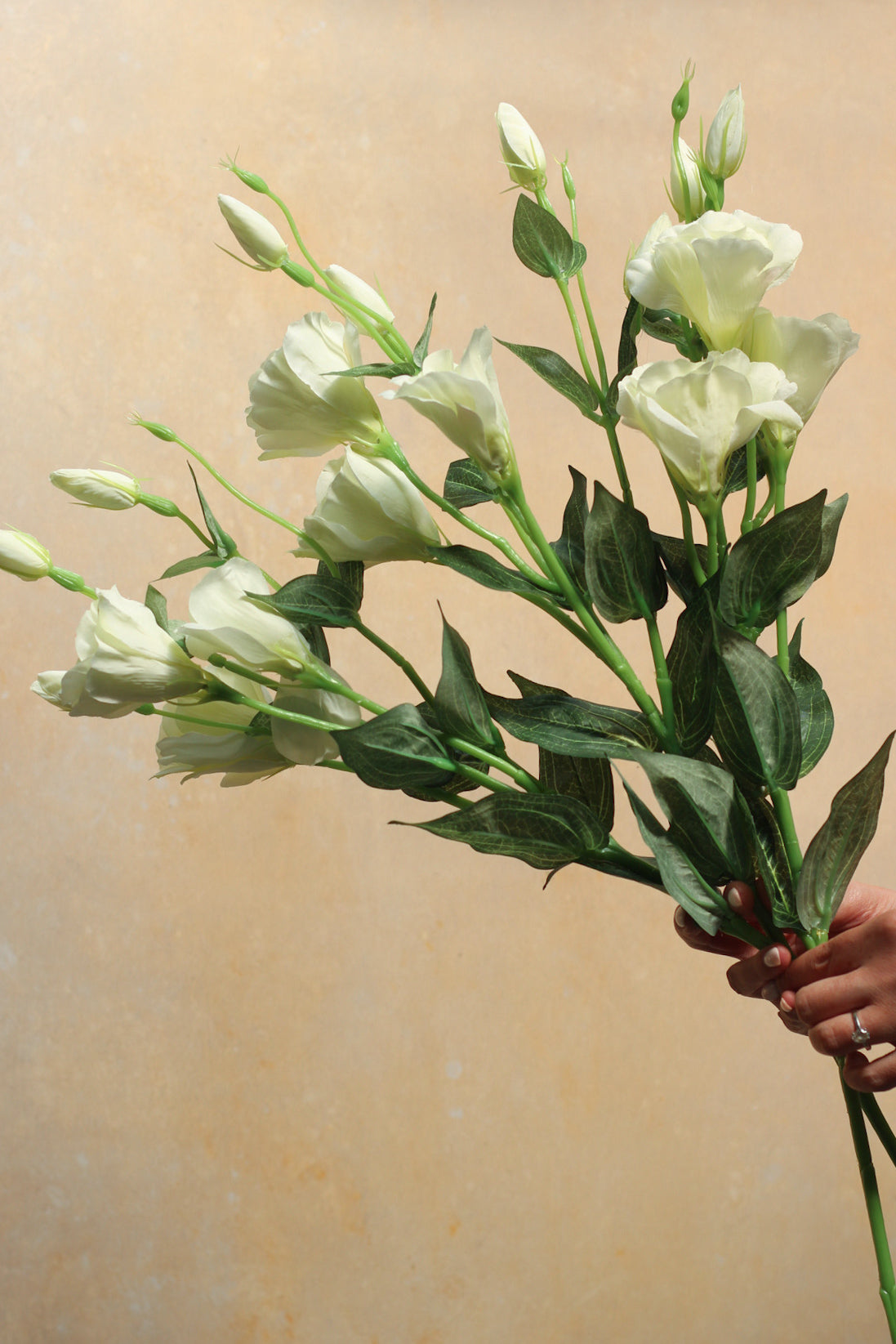 Ivory Lisianthus Spray