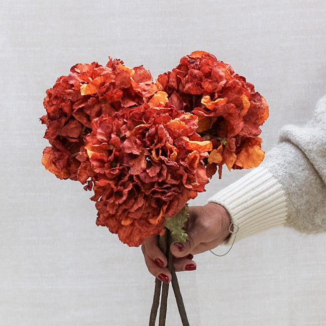 Burnt Sienna Dried Touch Ruffle Hydrangea | Bundle of 3