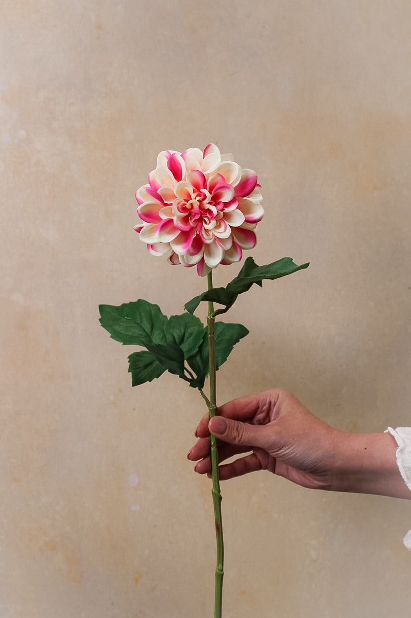 Faux Raspberry Ripple Dahlia Stem