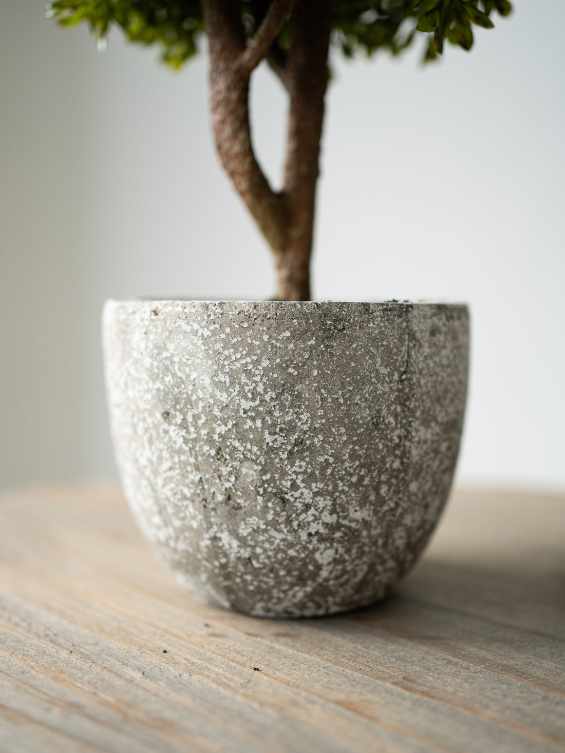 Faux Green Boxwood Ball Plant in Stone Effect Pot