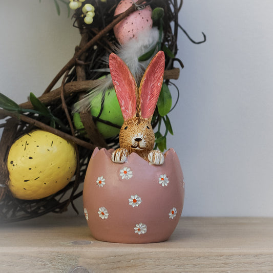 Spring Bunny in Daisy Egg