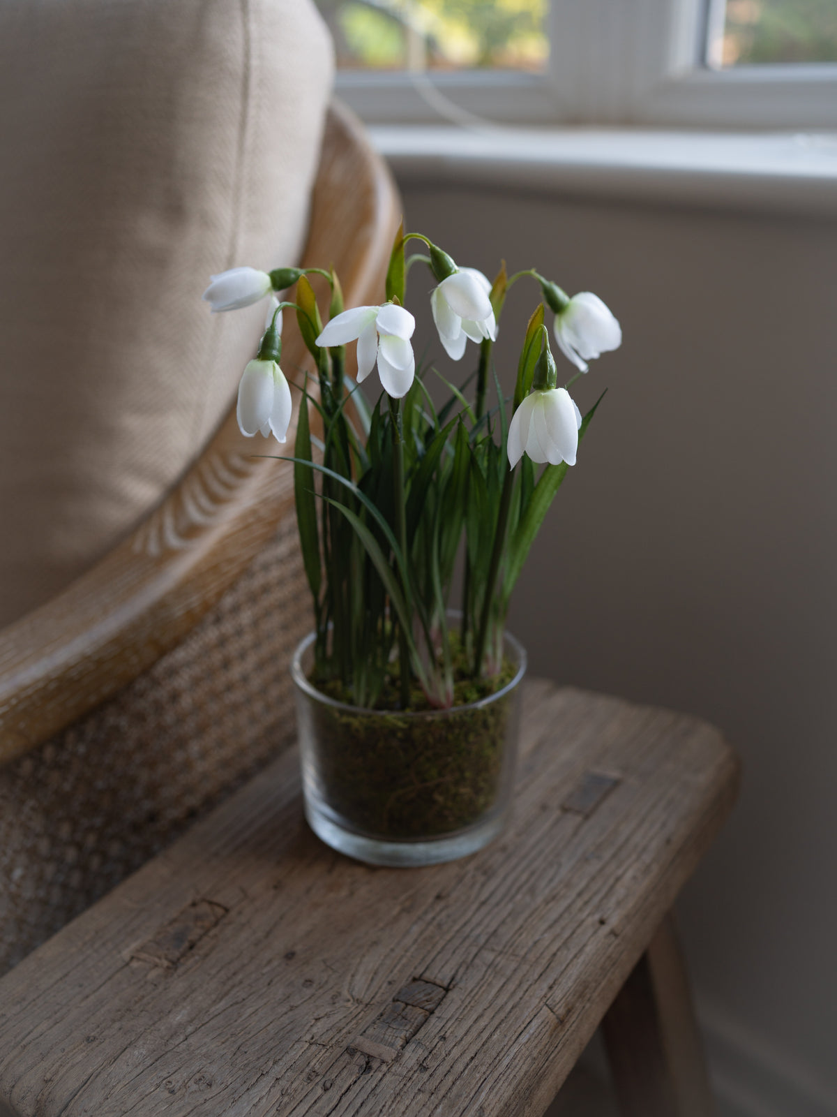 Faux Snowdrop Plant in Glass Pot