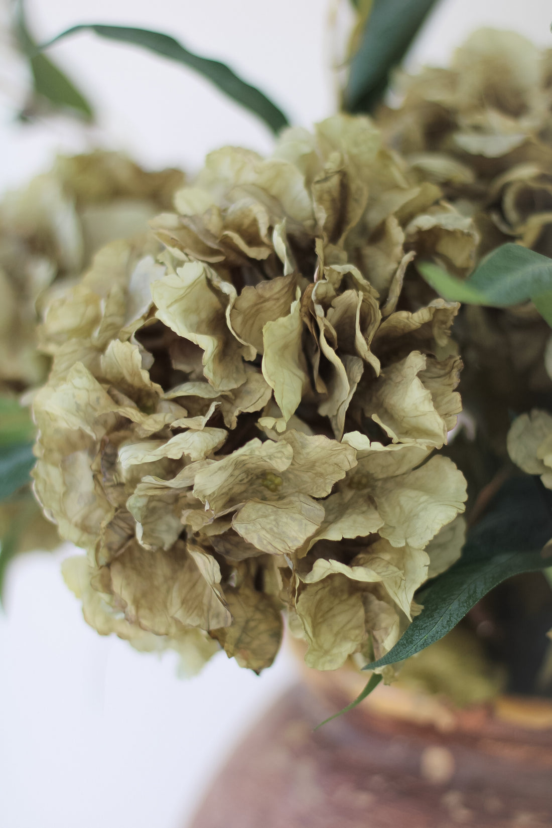 Faux Sage Dried Ruffle Hydrangea