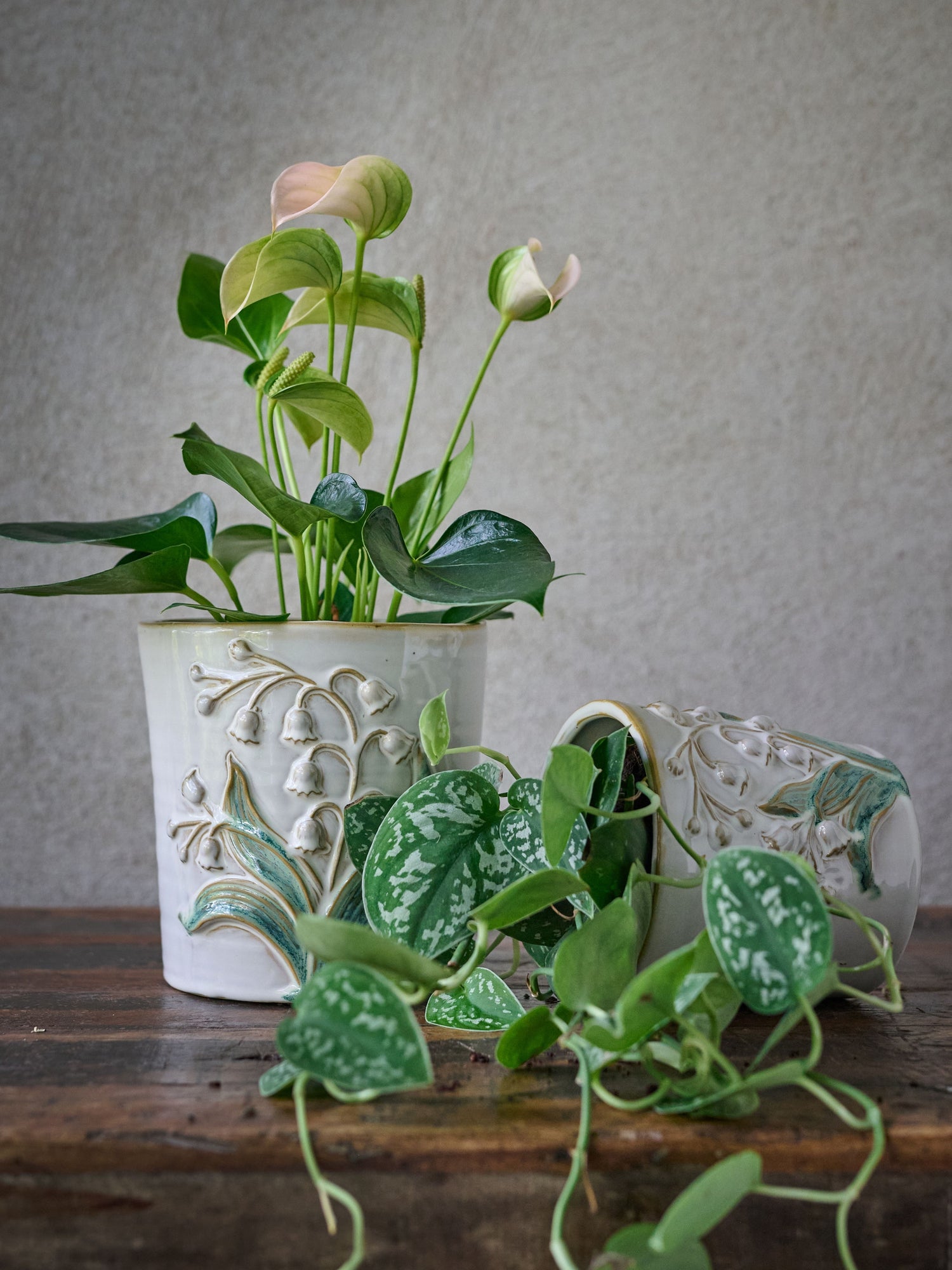 Two potted plants in decorative ceramic pots on a wooden surface with a neutral background.