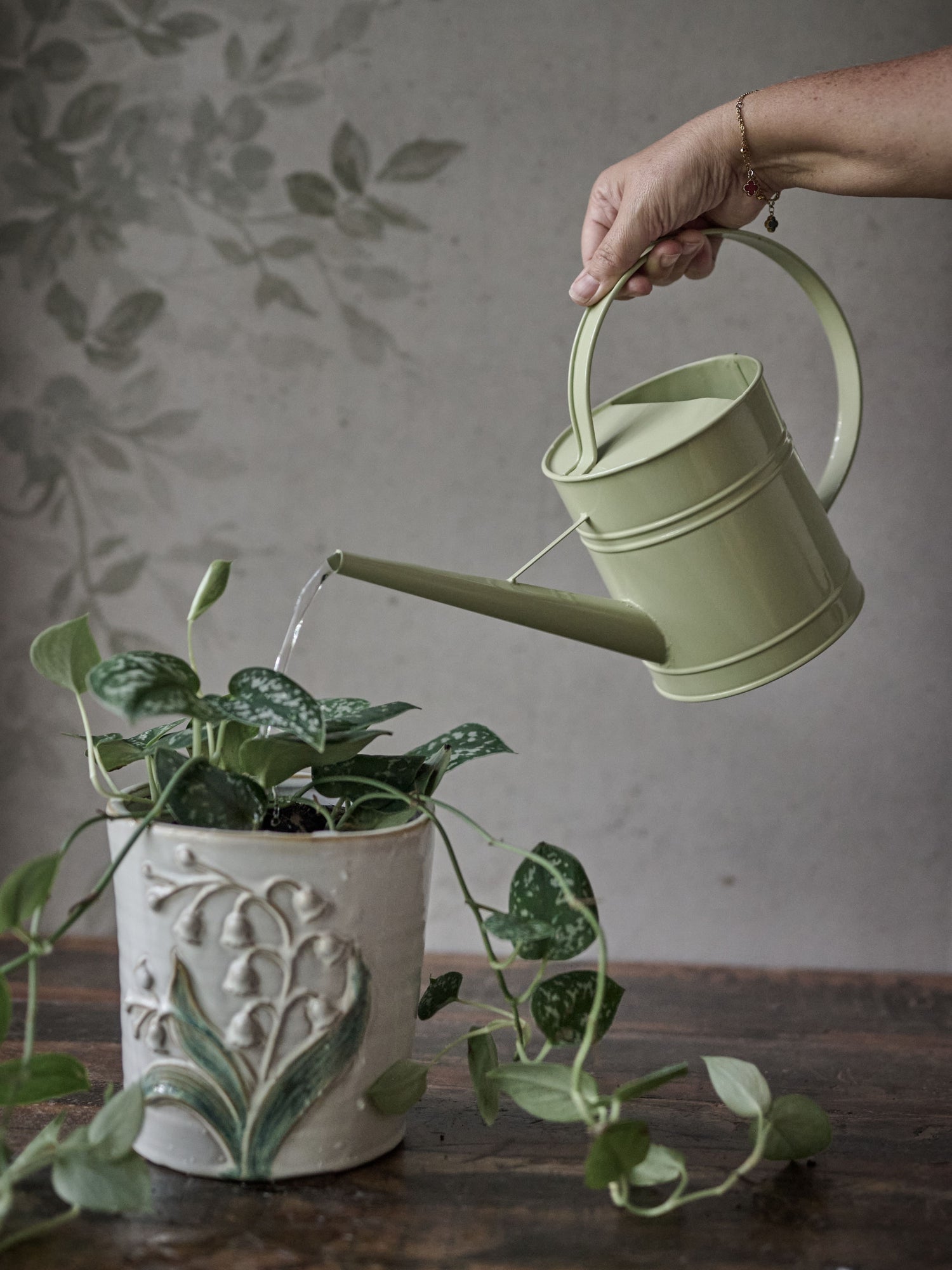 Person watering a plant with a green watering can in a home setting