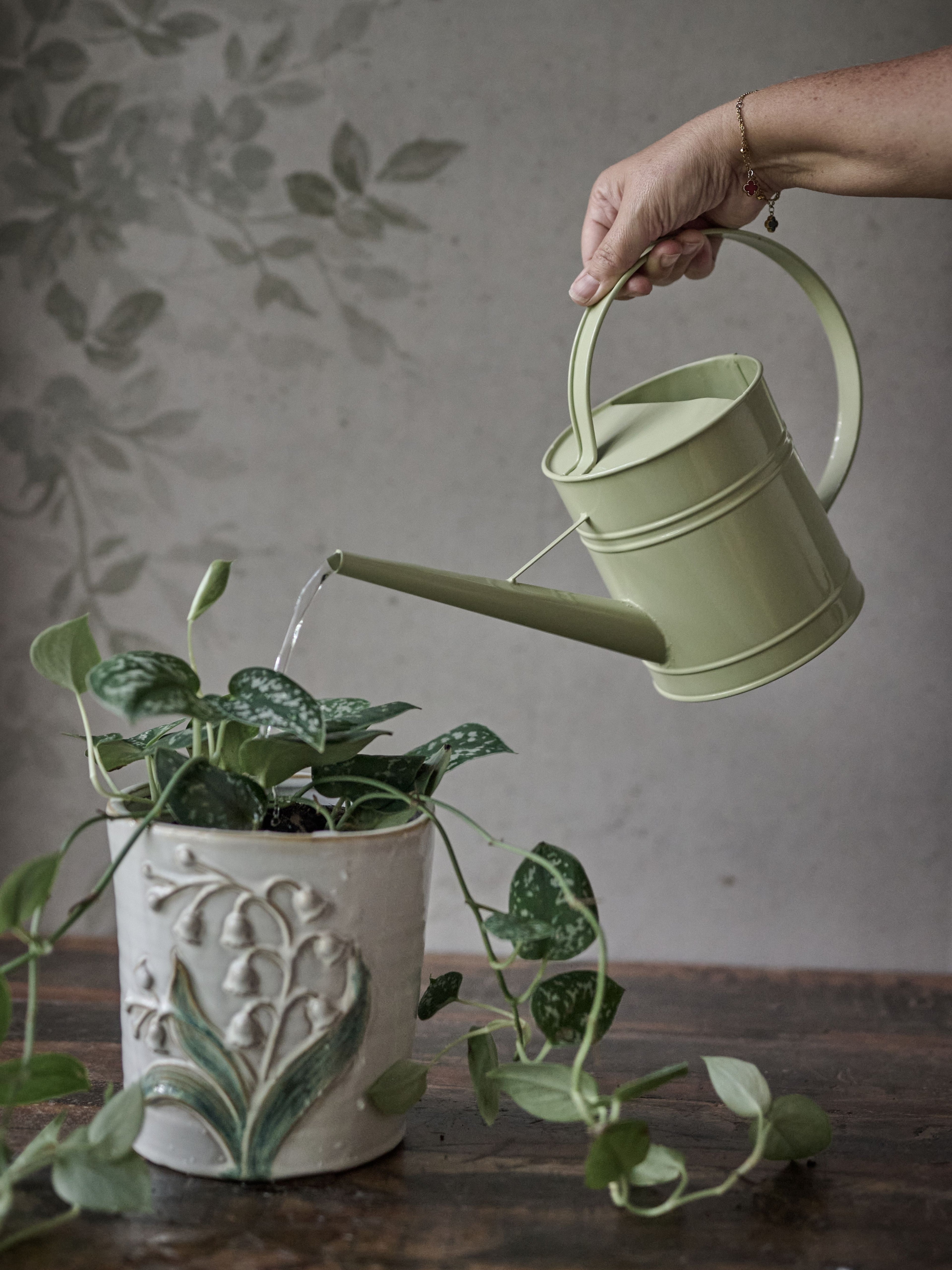 Person watering a plant with a green watering can in a home setting