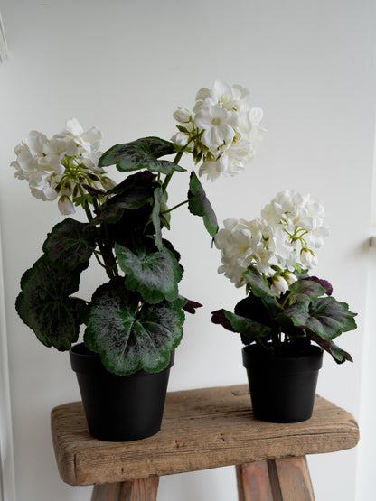 Faux White Geranium Plant