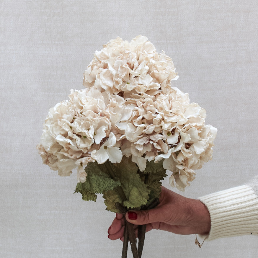Nude Dried Touch Ruffle Hydrangea | Bundle of 3