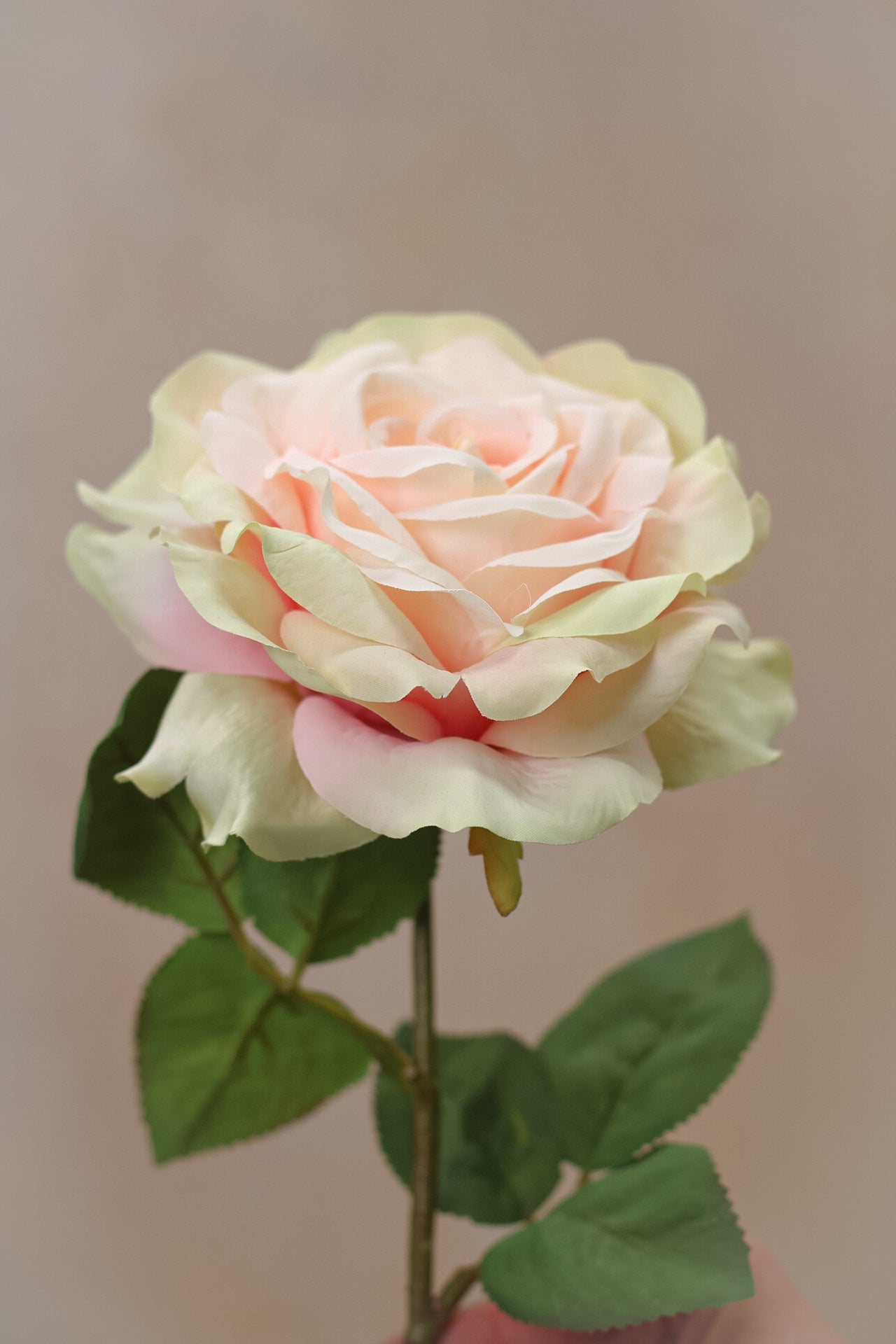 Faux Pink Dawn Rose Stem