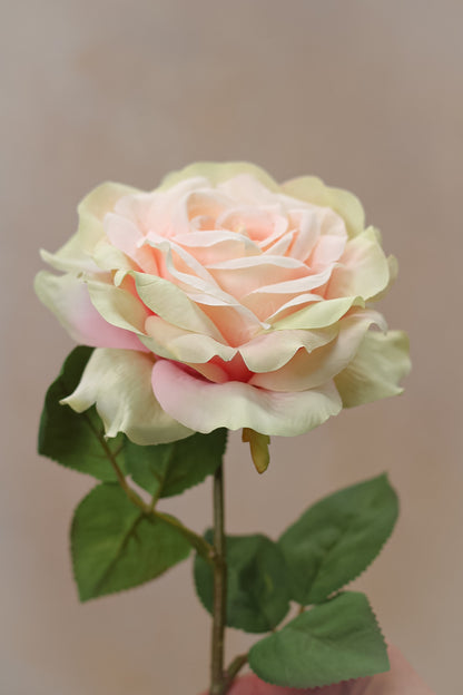 Faux Pink Dawn Rose Stem