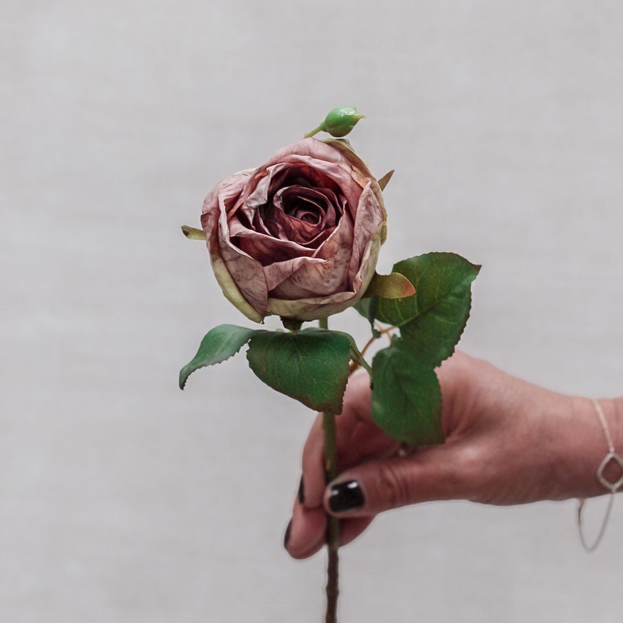 Vintage Mauve Dried Touch Open Rose Spray