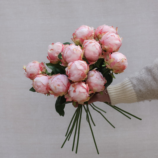 Soft Pink Bud Peony Stem
