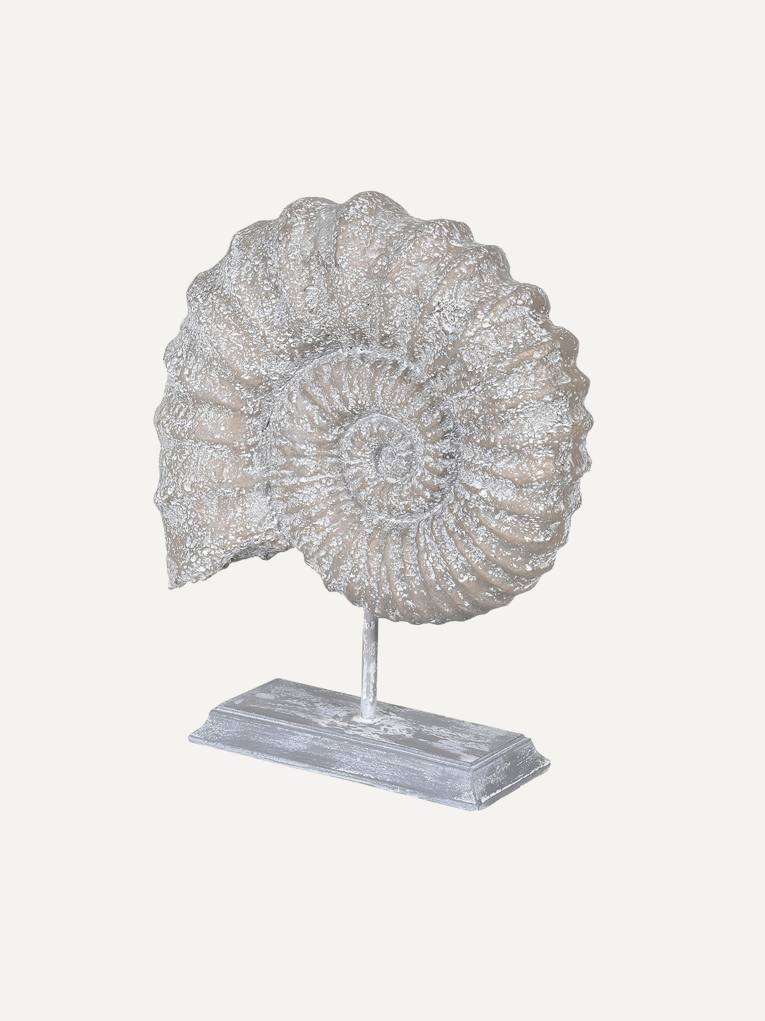 Decorative ammonite shell on a stand against a white background for bathroom styling and home decor