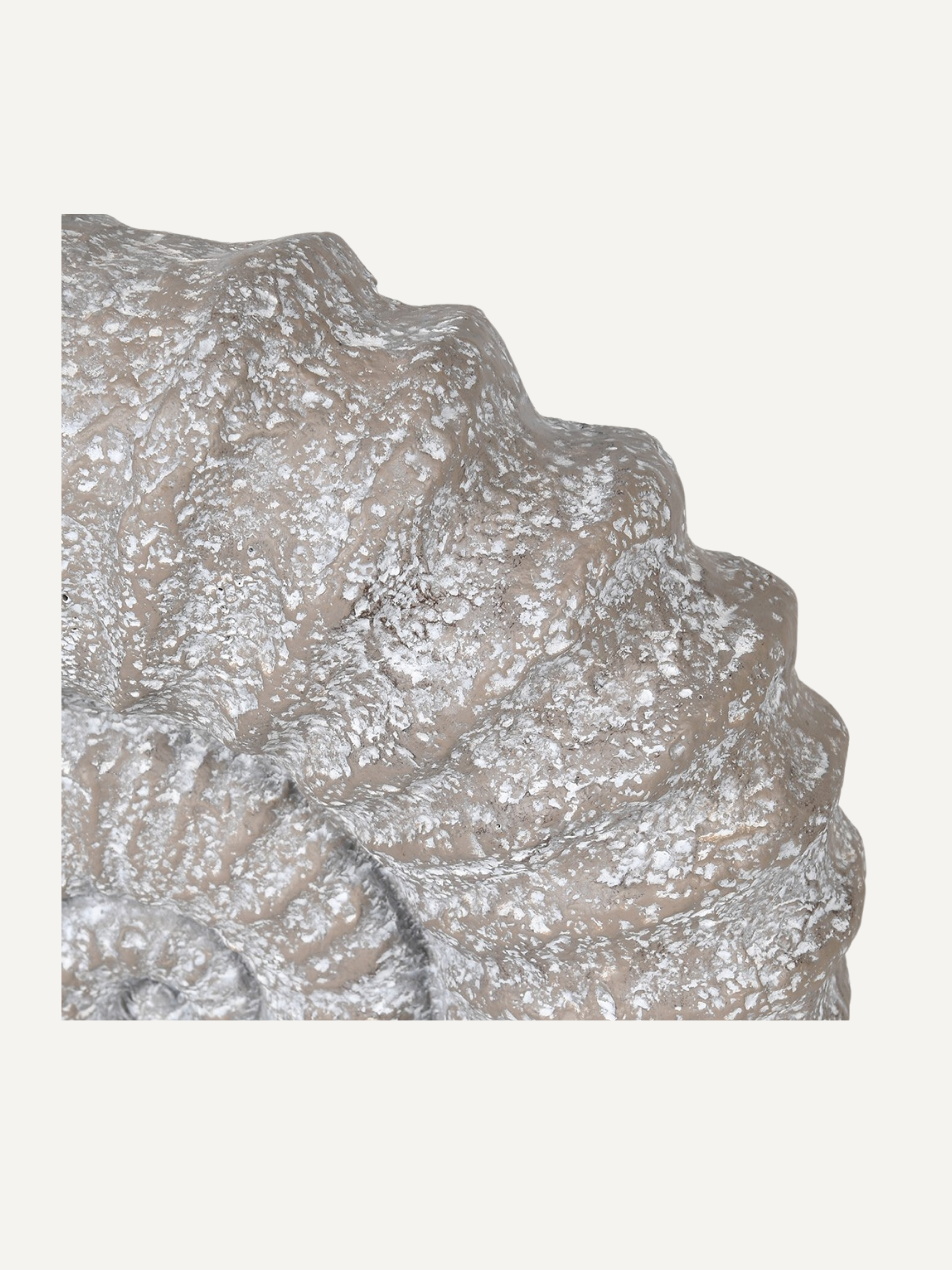 Decorative faux ammonite shell with intricate carvings on a white background