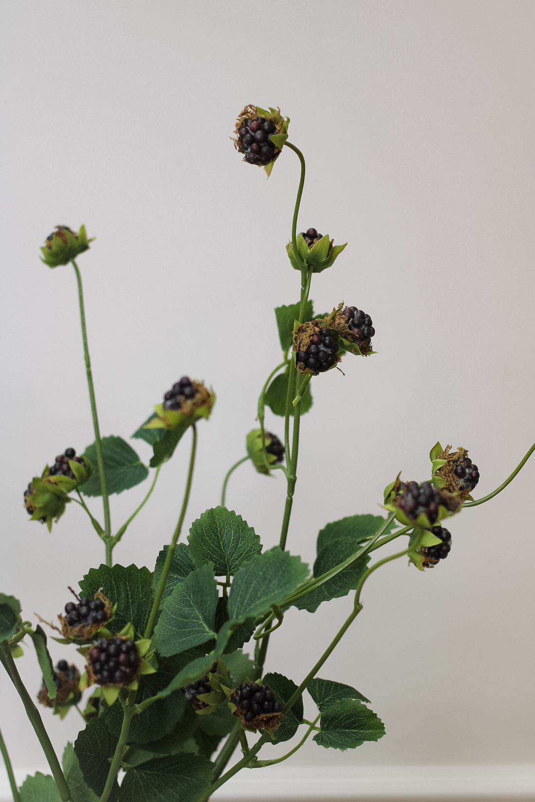 Faux Blackberry Spray