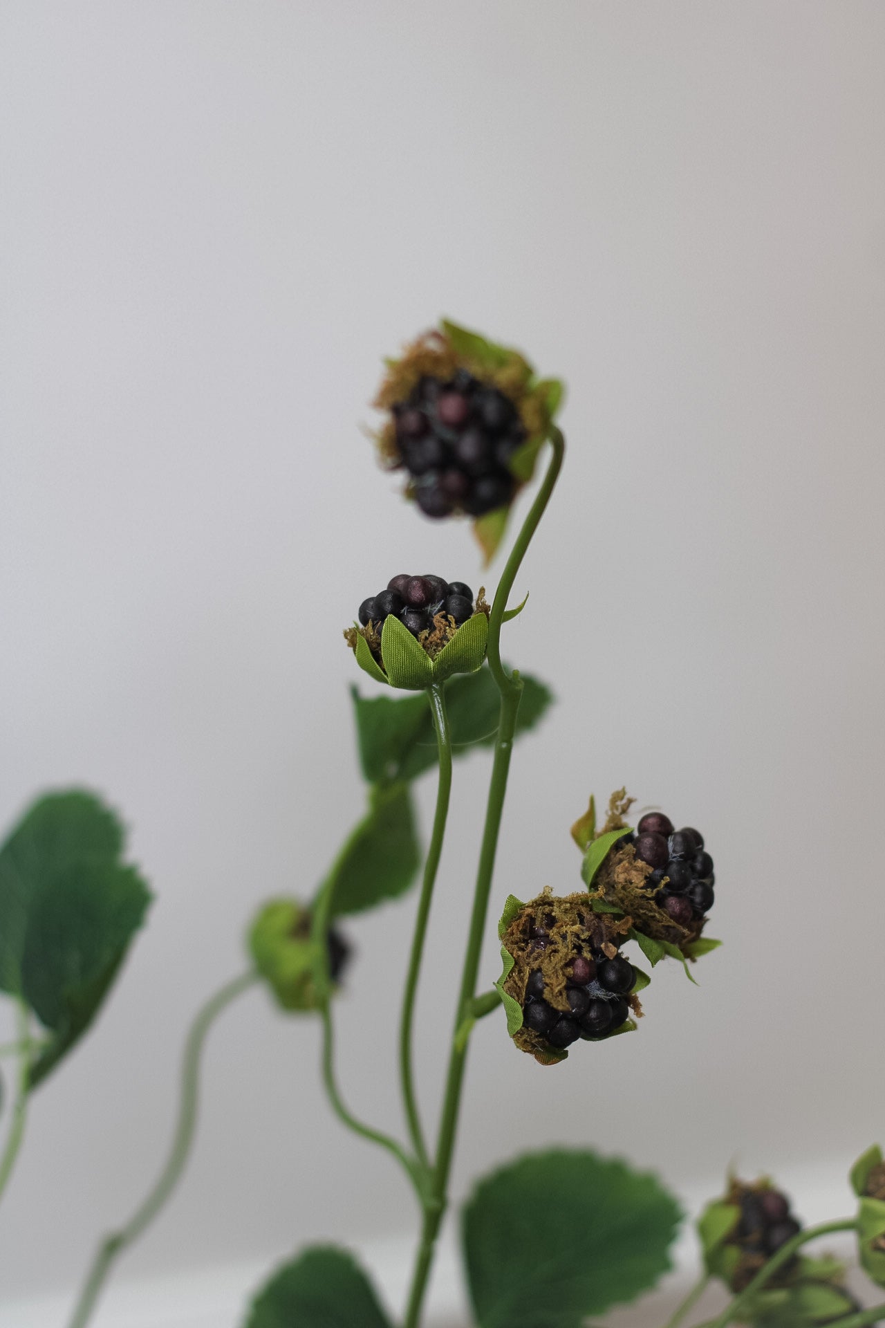 Faux Blackberry Spray