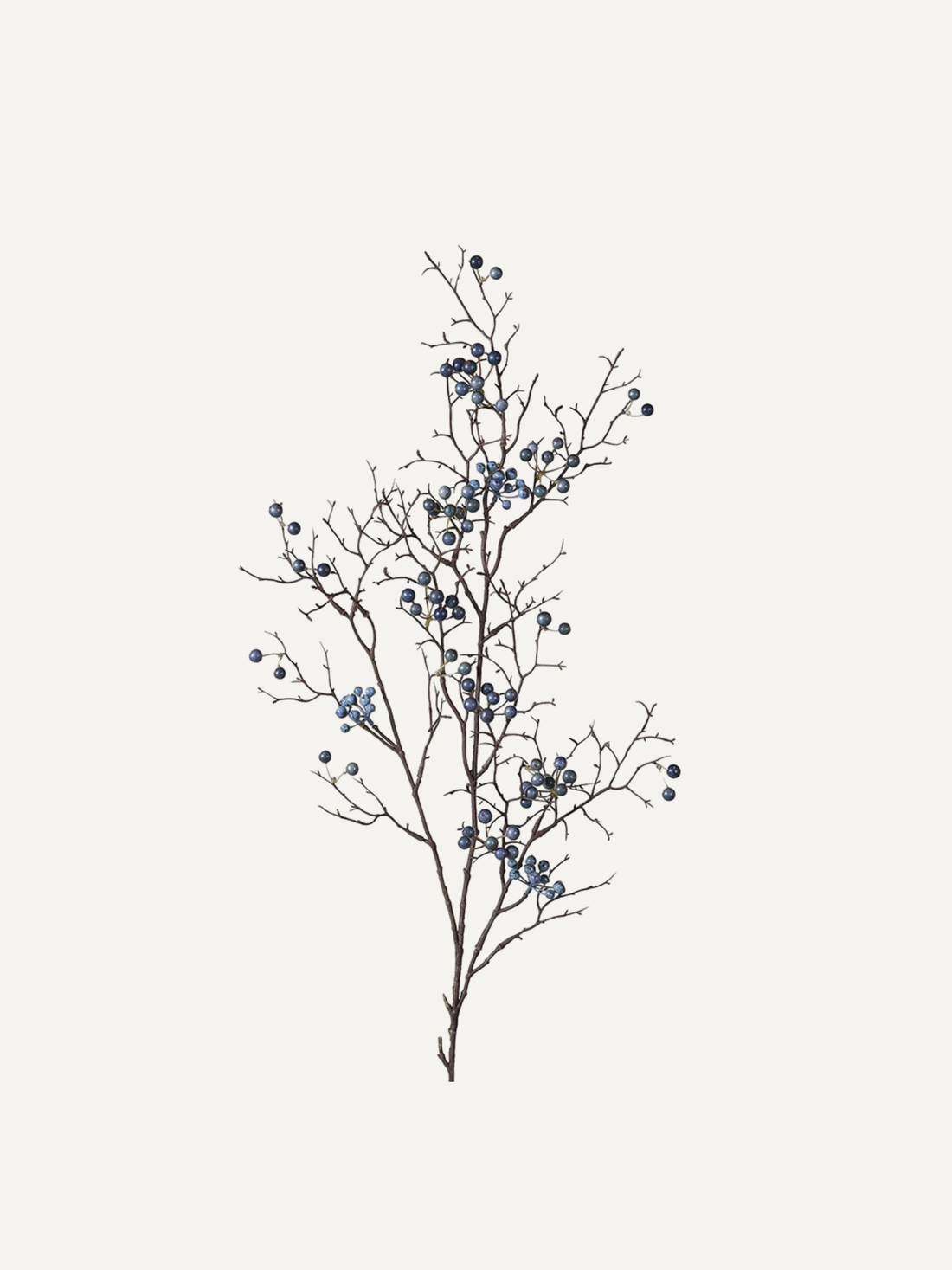 Artificial branch with blue berries on a white background
