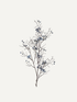 Artificial branch with blue berries on a white background