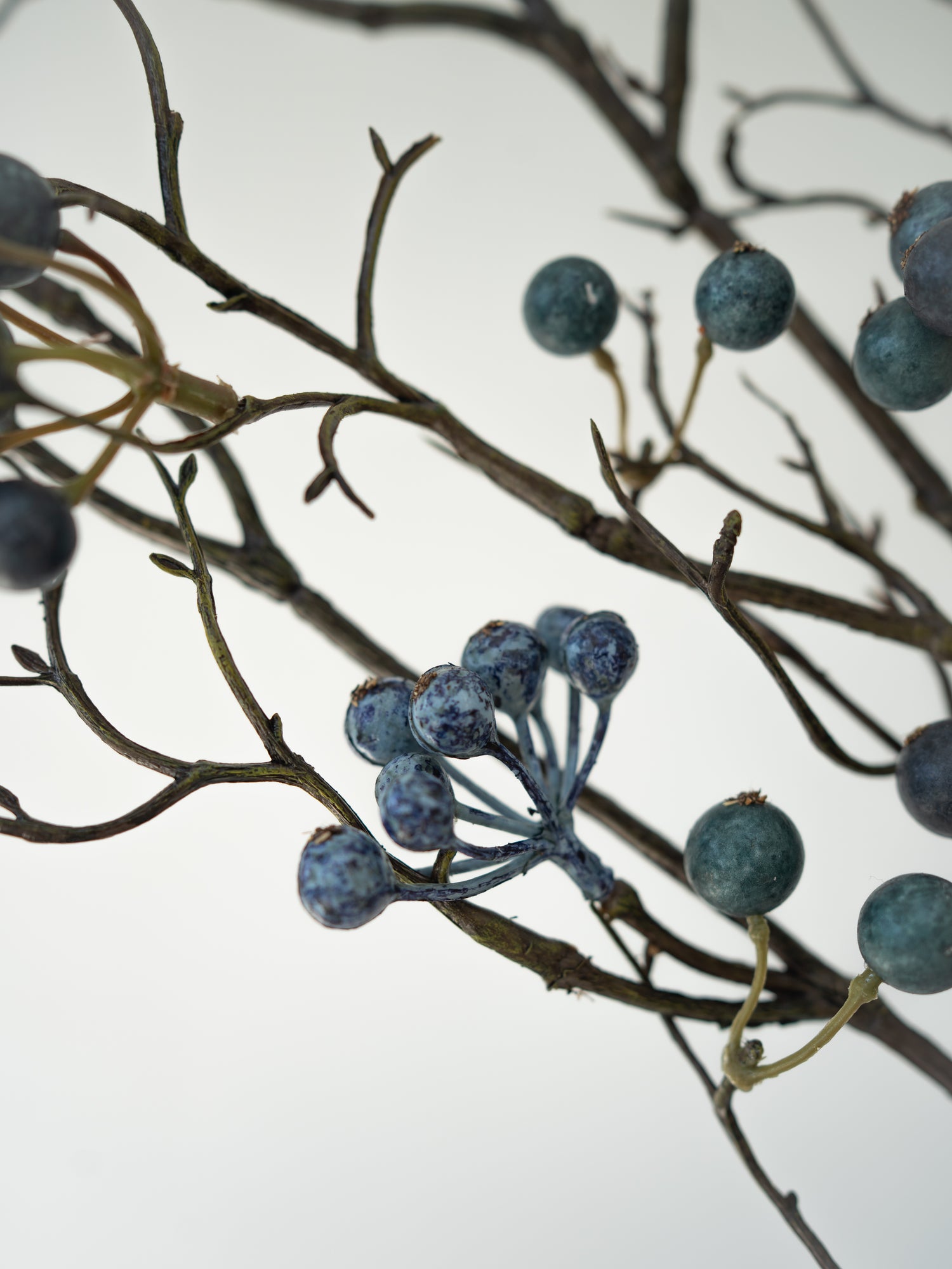 Artificial blueberry branches on a white background