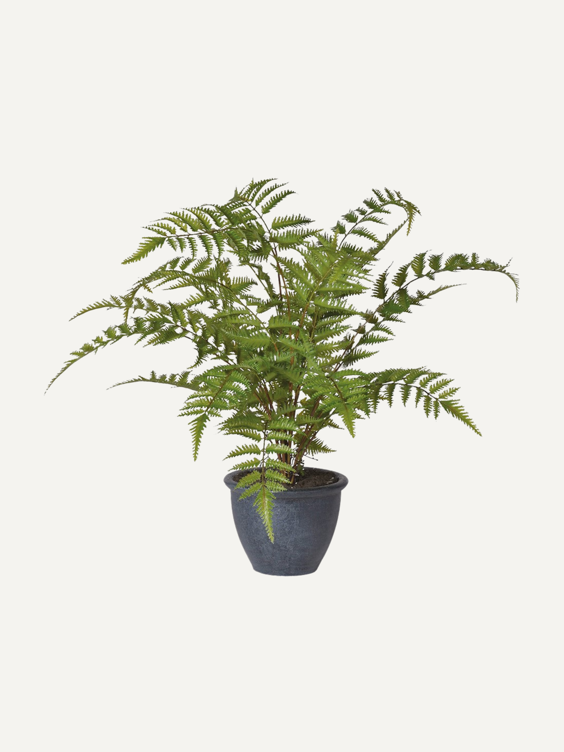 Faux Bracken Fern in Charcoal Grey Pot