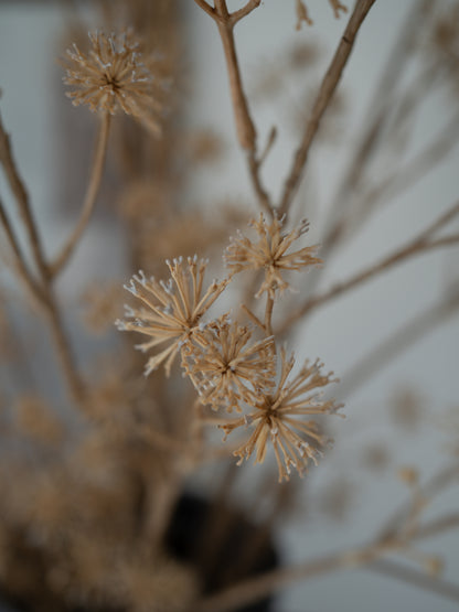 Upclose of faux brown dogwood branches