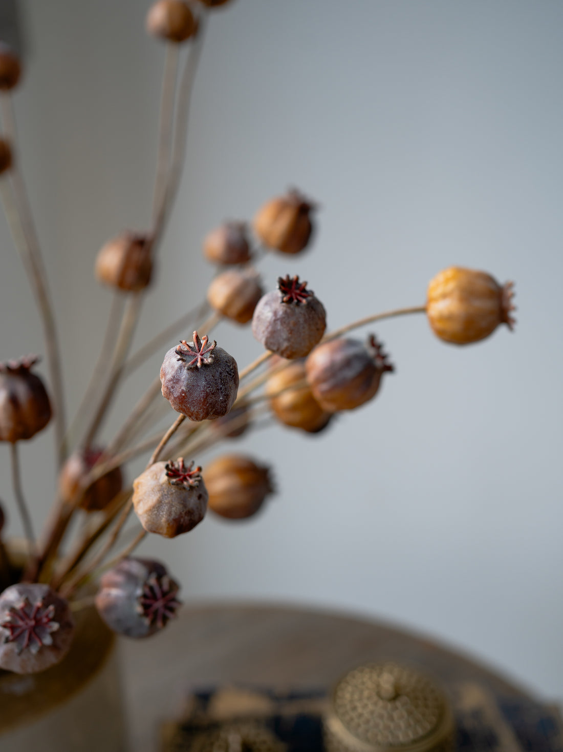 up close of Faux Brown Poppy Head Branch