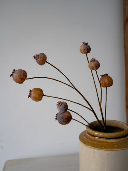 Faux Brown Poppy Head Branch