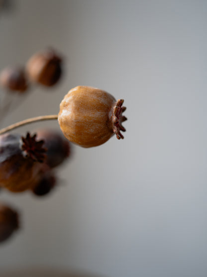 up close of faux poppy head stem