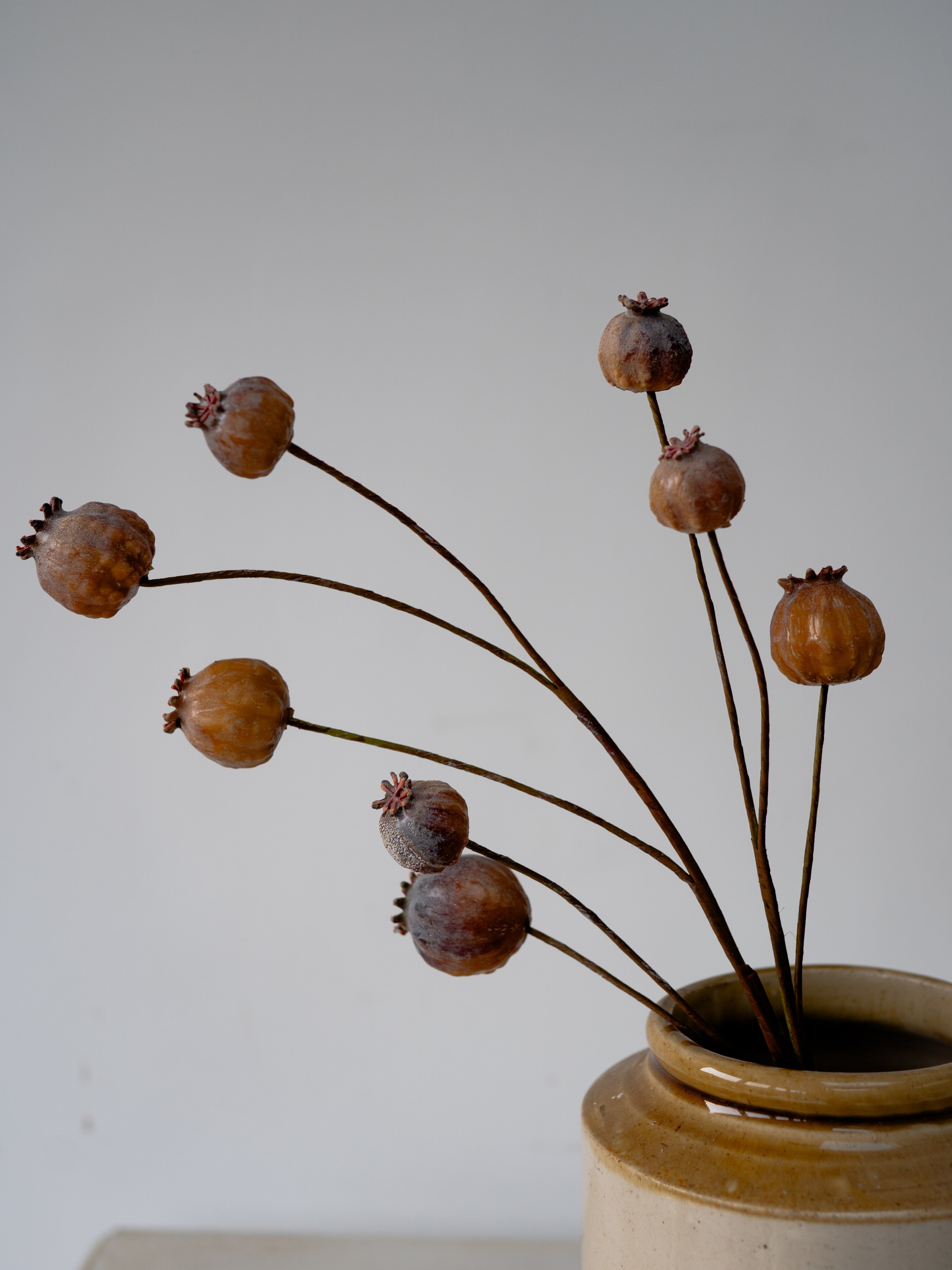 Faux Brown Poppy Head Branch