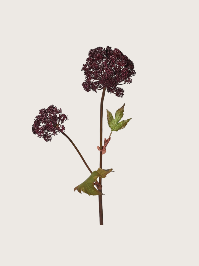 Faux Burgundy Angelica Seed Head with Leaves
